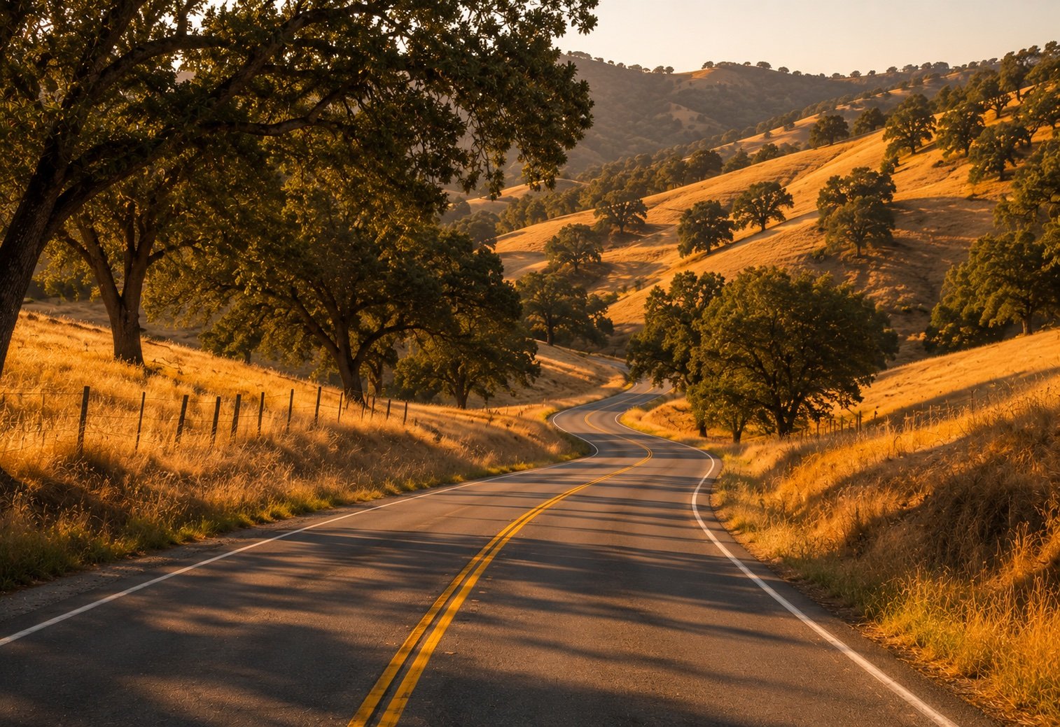 Remote Pope Valley rural landscape with ancient Zinfandel vines and working ranches